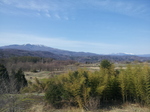 20130425_143826726131376.jpg